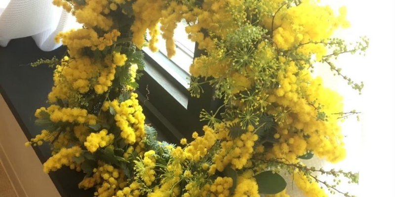 ルナクレシエンテ取扱い商品その他